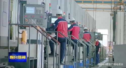 煙臺(tái)42個(gè)項(xiàng)目榮獲山東省智能化技改獎(jiǎng)補(bǔ)資金，推動(dòng)軟件及輔助設(shè)備批發(fā)行業(yè)發(fā)展